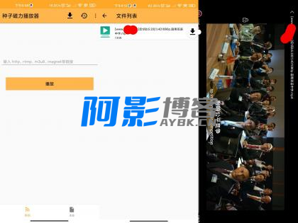 种子磁力播放器app 实现边看边下-OKK资源网